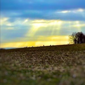 Meet your Posher, Adam